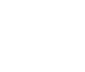 CourtFact